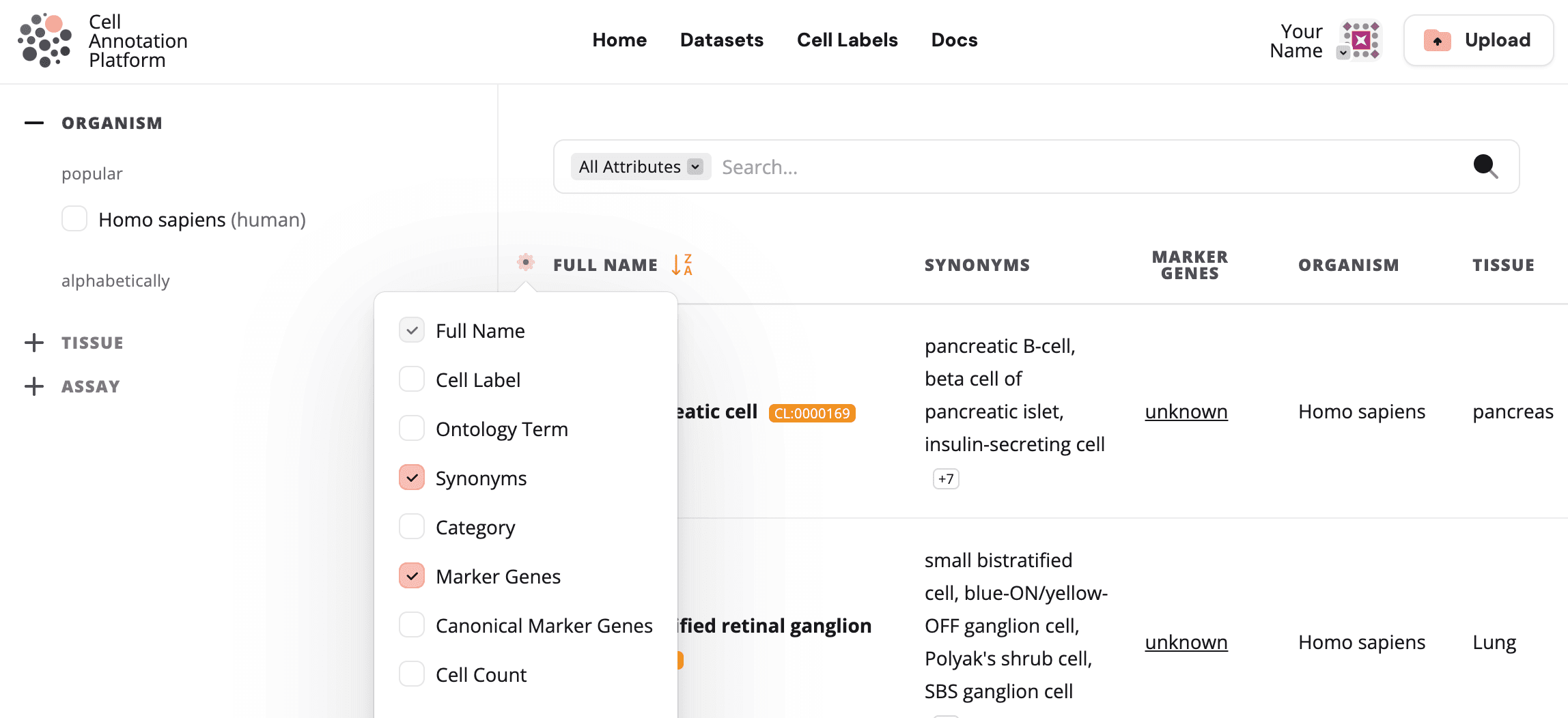 Cell label preview with expanded download menu