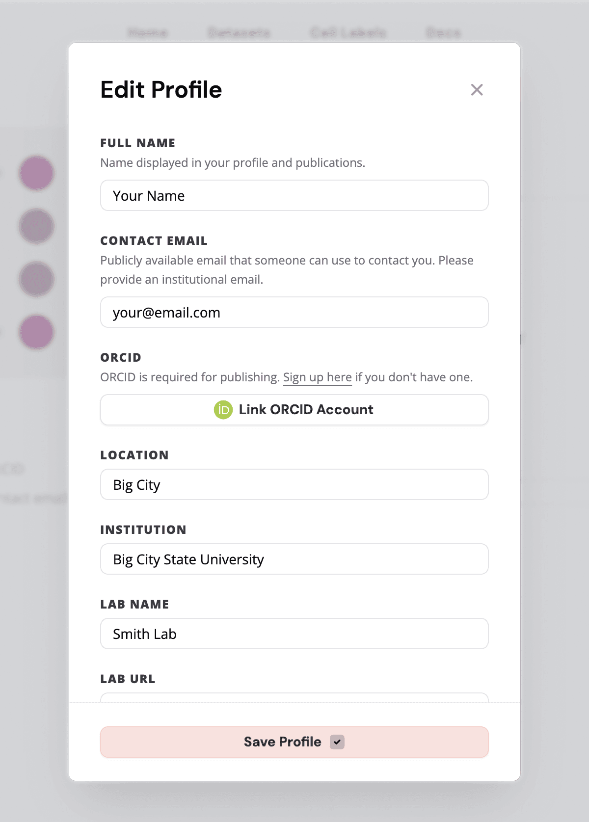 Edit profile page with the fields completed