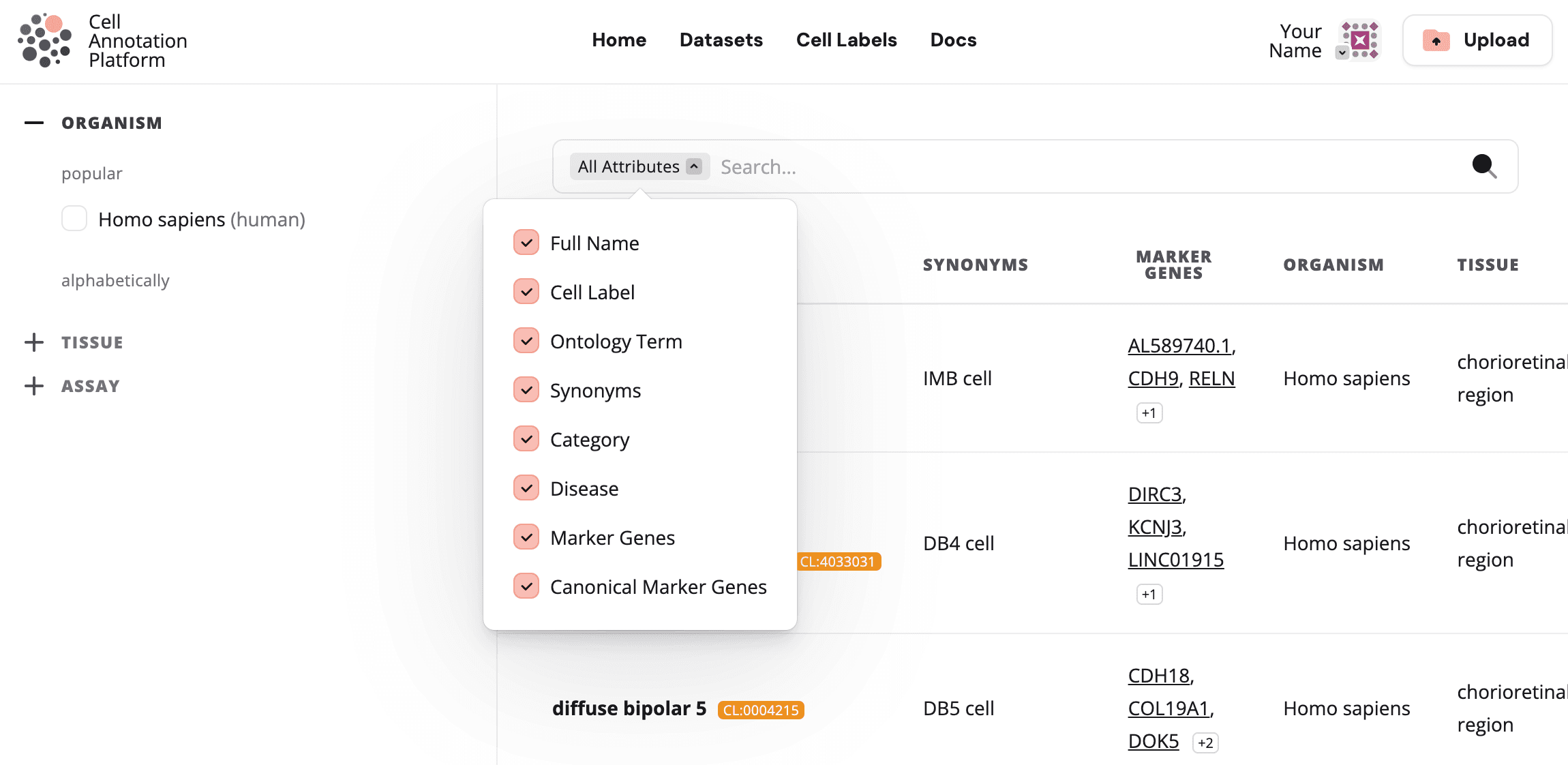 Cell label preview with expanded download menu