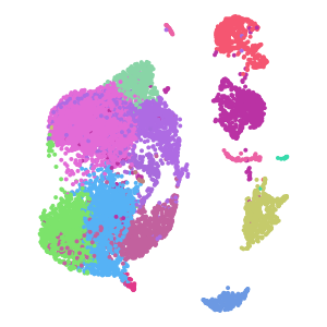 author_cell_type plot preview