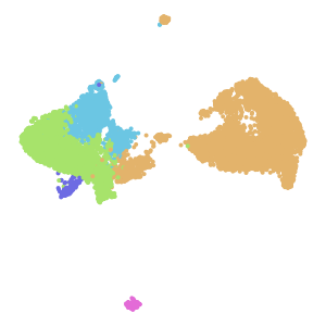 author_cell_type plot preview