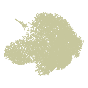 Level_2 plot preview