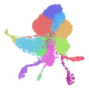 cell_type plot preview