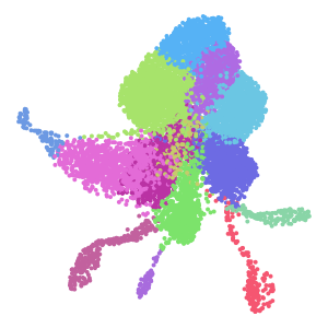 cell_type plot preview
