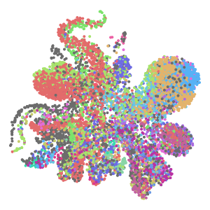 cell_type plot preview