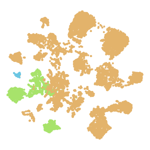 Neighborhood plot preview