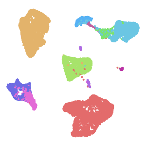 author_cell_type plot preview