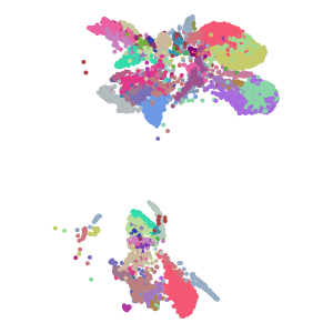 coarse_annotation plot preview